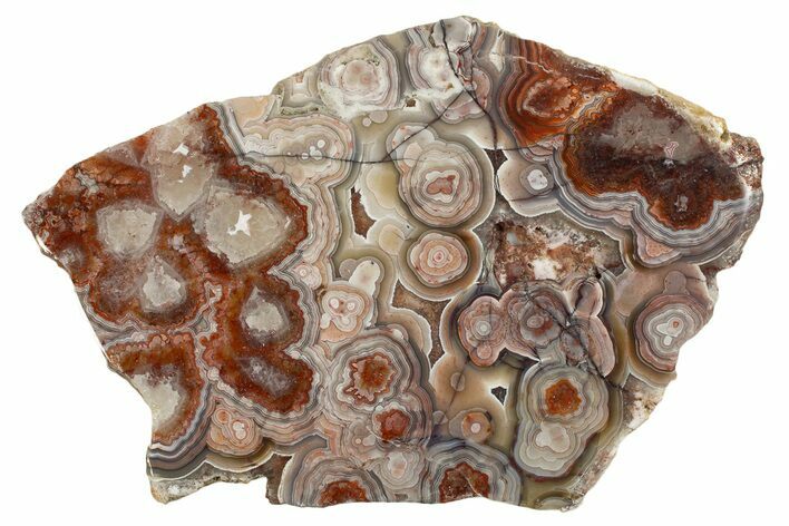Polished Crazy Lace Agate Slab - Mexico #335037